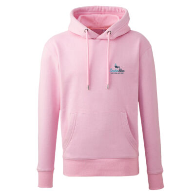 Organic Hoody - Teal & Navy Logo Thumbnail